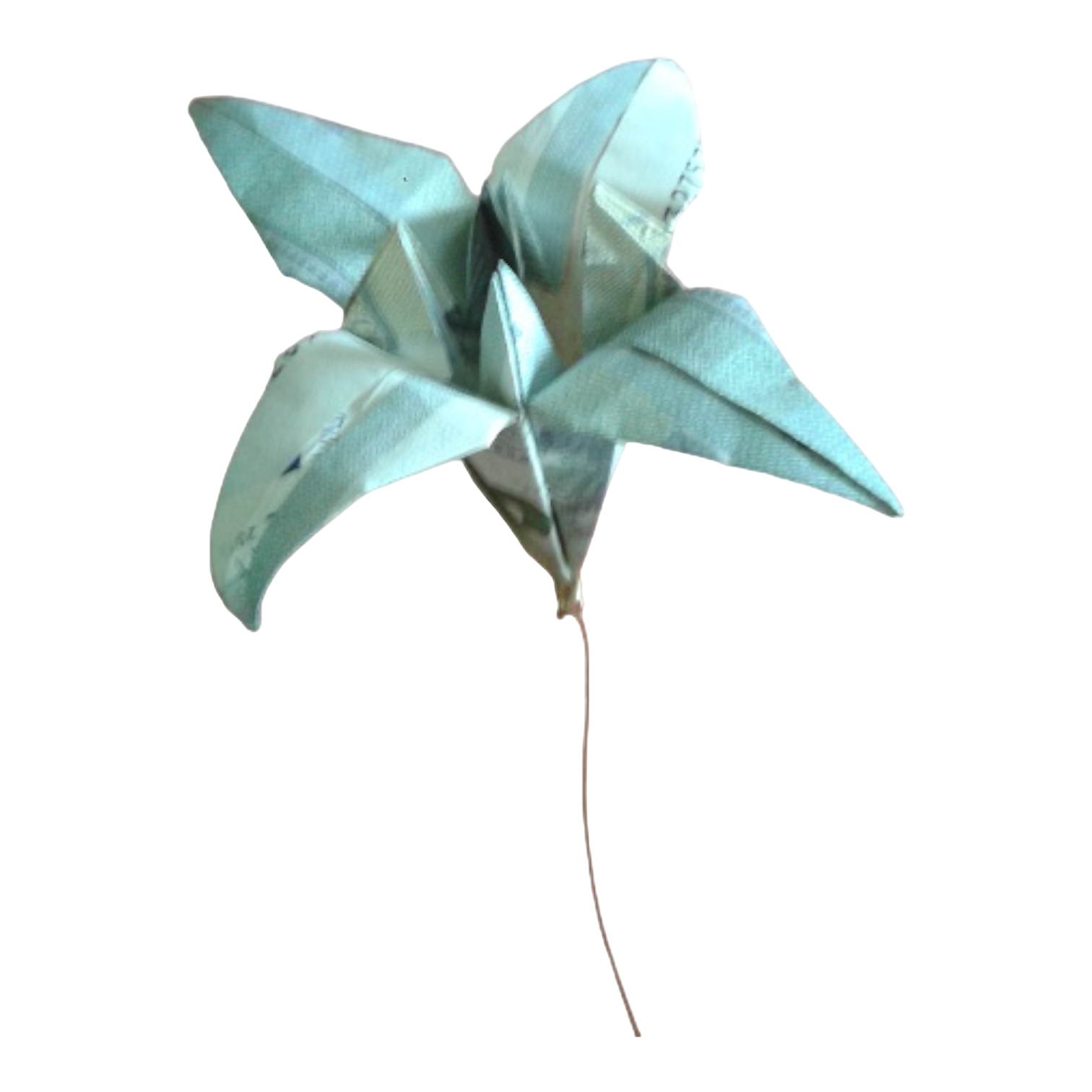 Origami Geldschein Lilie