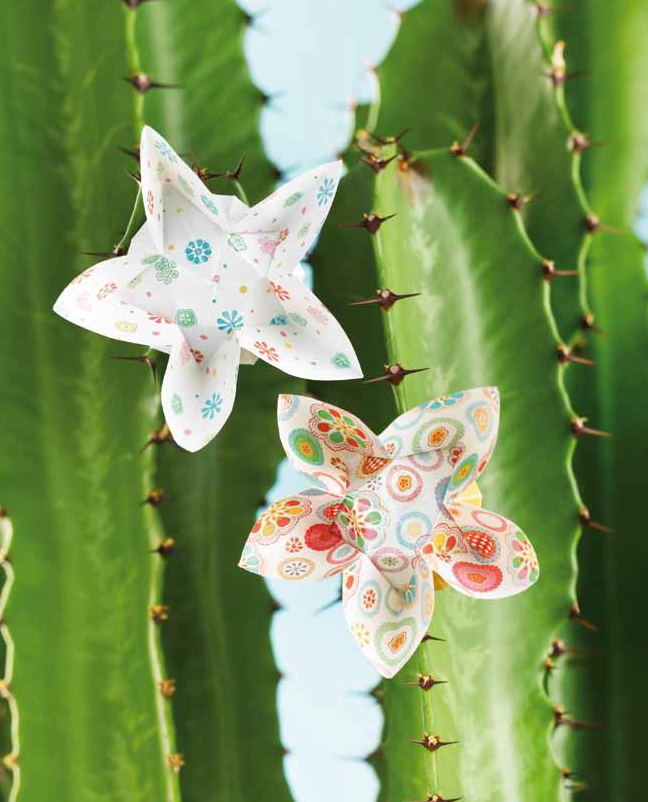 Origami Kakteen Blüten